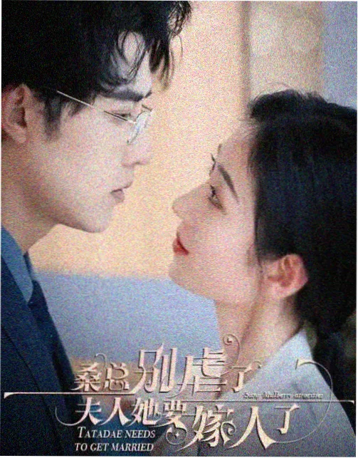 剧集更新记录配图